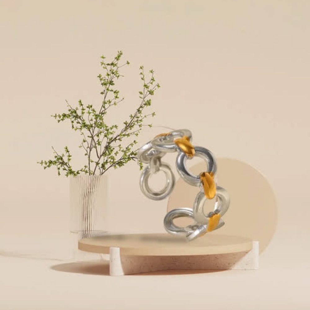 Silver and Gold Chain Ring